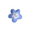 prochitau_sms