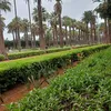 _mustapha_29
