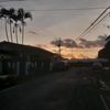 mibi.rodrigue