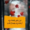 user5222916015196