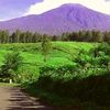 dhaffa843
