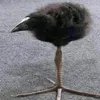 anormalcrow1