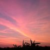 askara.mahendra1