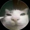 gatitosperuanos