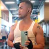 york_fer