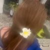 ellieflod