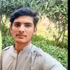 meersaeedahmed33