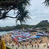 camelia_160600