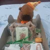 thao_290912
