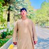 tawfiq.sayedi1234