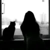 moos.mm55