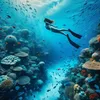 freedivingsea