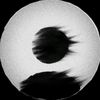 e_rvienna12