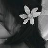 challygaill_240