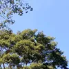luza03517