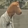 _baleb