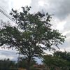 alfahriza.__ezaar