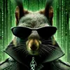 thestoicsquirrel
