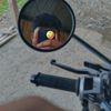 iwan_737