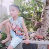 .trnn13