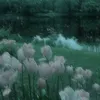 hji_28