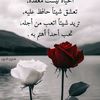 user2908852502817