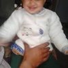 ali.ali.hussain52