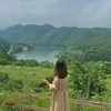 in.ng04
