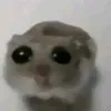 .1_1h3