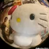 chjpjeu4