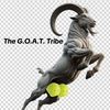 thegoatpickleball