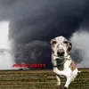 junior_storm.chaser.ofc
