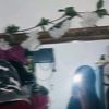 yaree_999