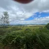 romanrugby
