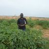 sileymanealassane
