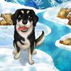 hopedogco