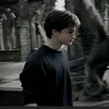 potter_world4