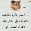 omranhammemi