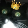 maxgor247