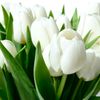 yassmine2284
