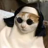phlcat
