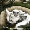 alarmclock_radial