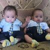 baby.kembar16