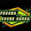 pesonasoundhoreg2