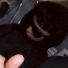 yael_15161