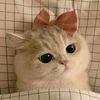 pretty_nabila10