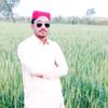 ali.hassan8831