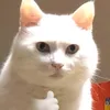 wrqwwppe1