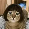 tina_aaang