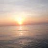 anhty77e